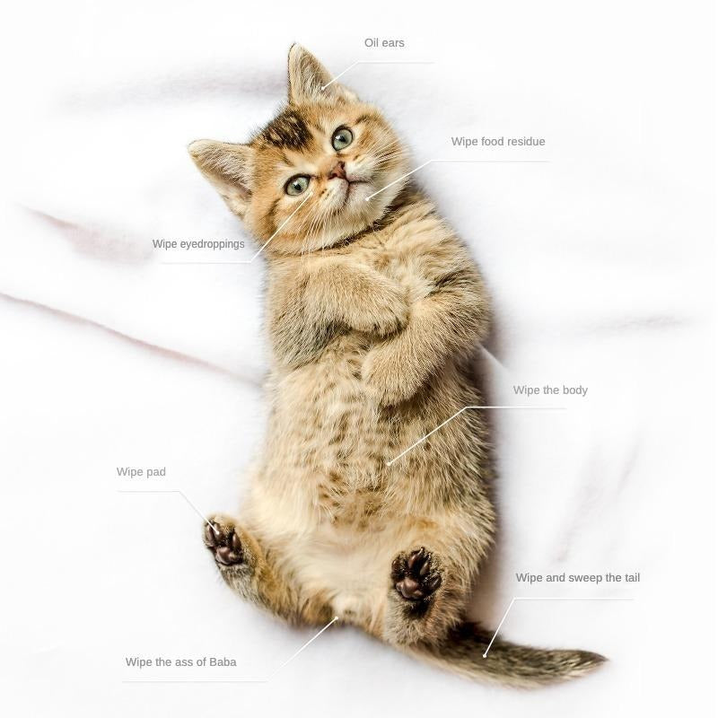 Pet Cleaning Deodorizing Grooming Wipes for Dogs & Cats | DIGIVIXO