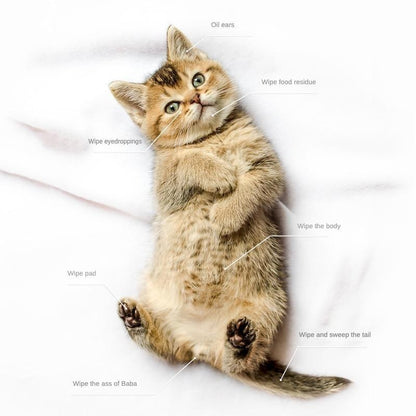 Pet Cleaning Deodorizing Grooming Wipes for Dogs & Cats | DIGIVIXO